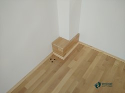 @ľذr(ji)